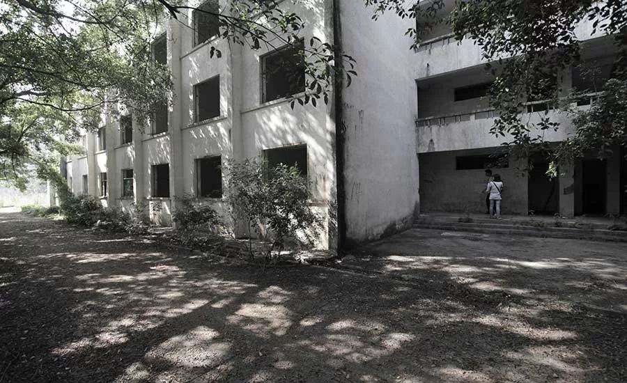Mind-De Academy