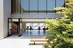 Roseland University