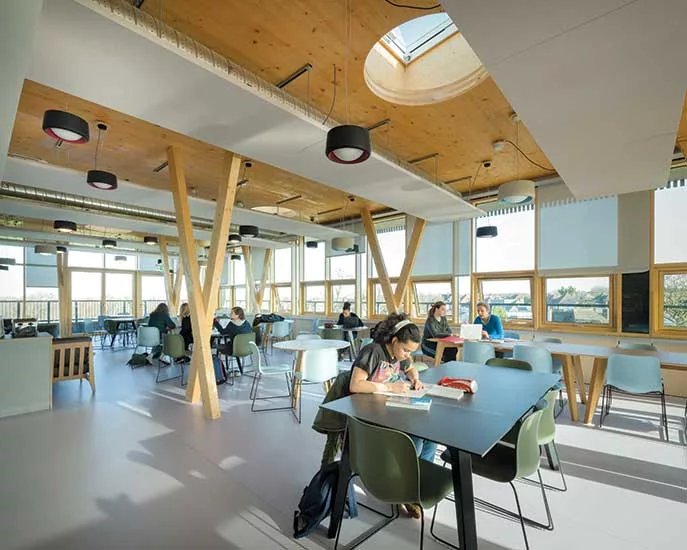 Vertical School Expansions