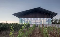 Furioso Vineyards by Waechter Architecture