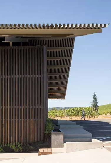 Furioso Vineyards