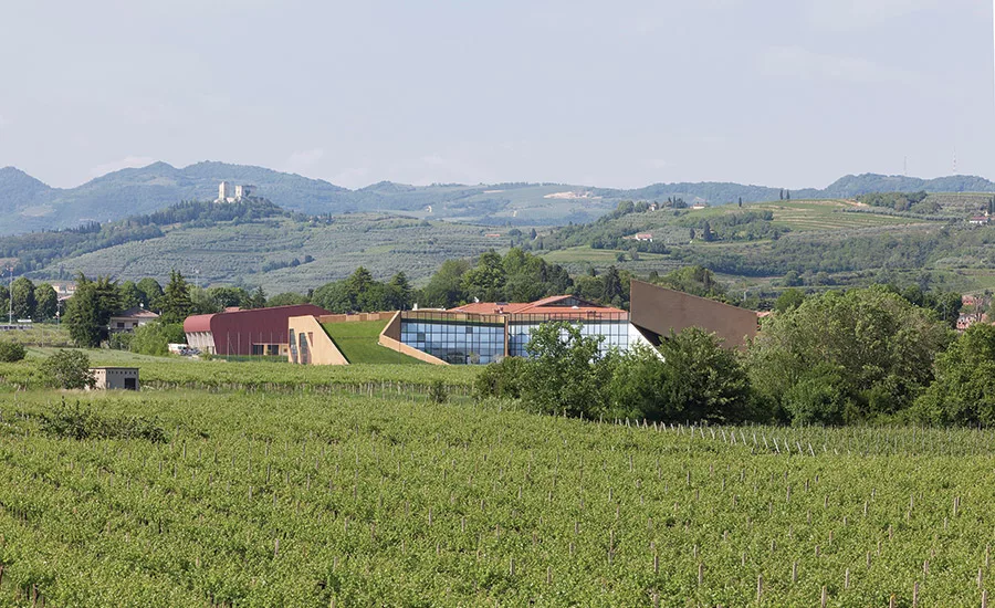 Scuola Colognola