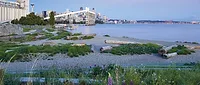 Beach-at-Expedia-Group-01-A.jpg The Beach at Expedia Group.