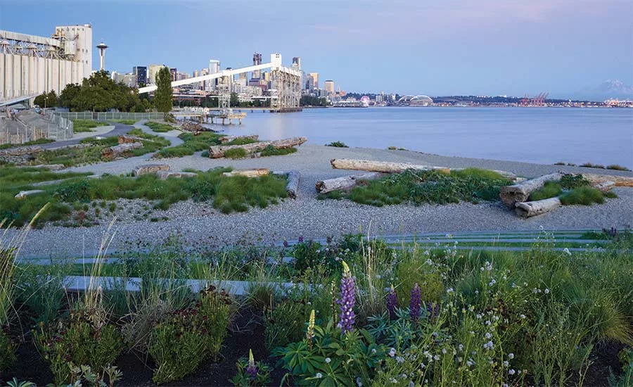 The Beach at Expedia Group.