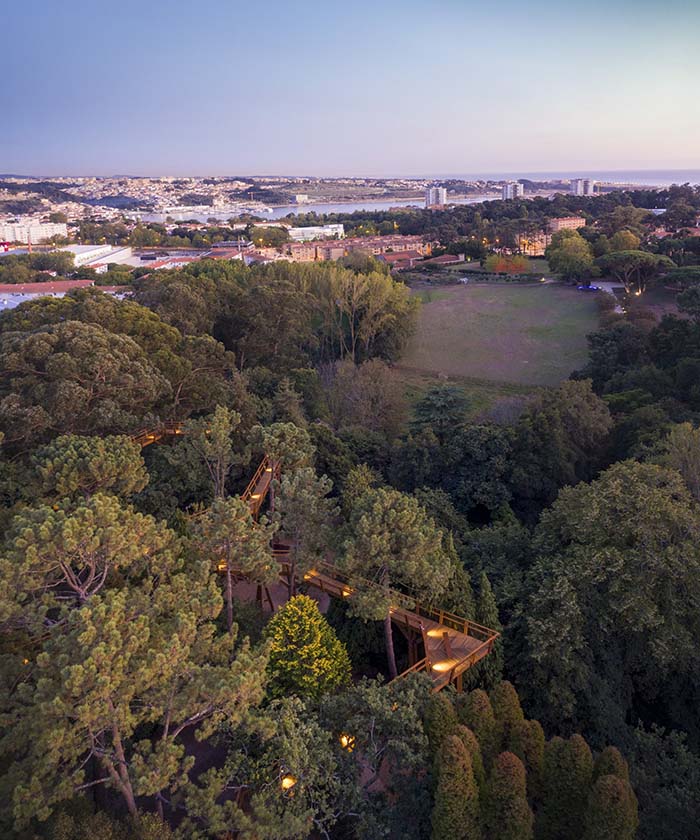 Treetop Walkway.