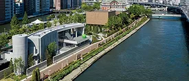 The Nakanoshima Children’s Book Forest.