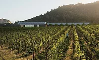 Silver-Oaks-Winery-01-B.jpg Silver Oaks Winery.