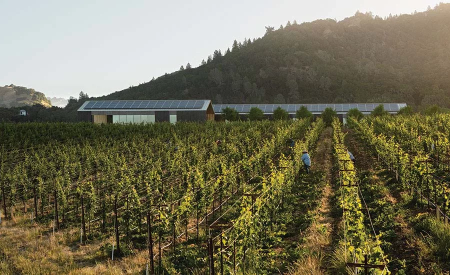 Silver Oaks Winery.