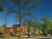 Mattin Center.