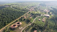 Rwanda Institute for Conservation Agriculture.
