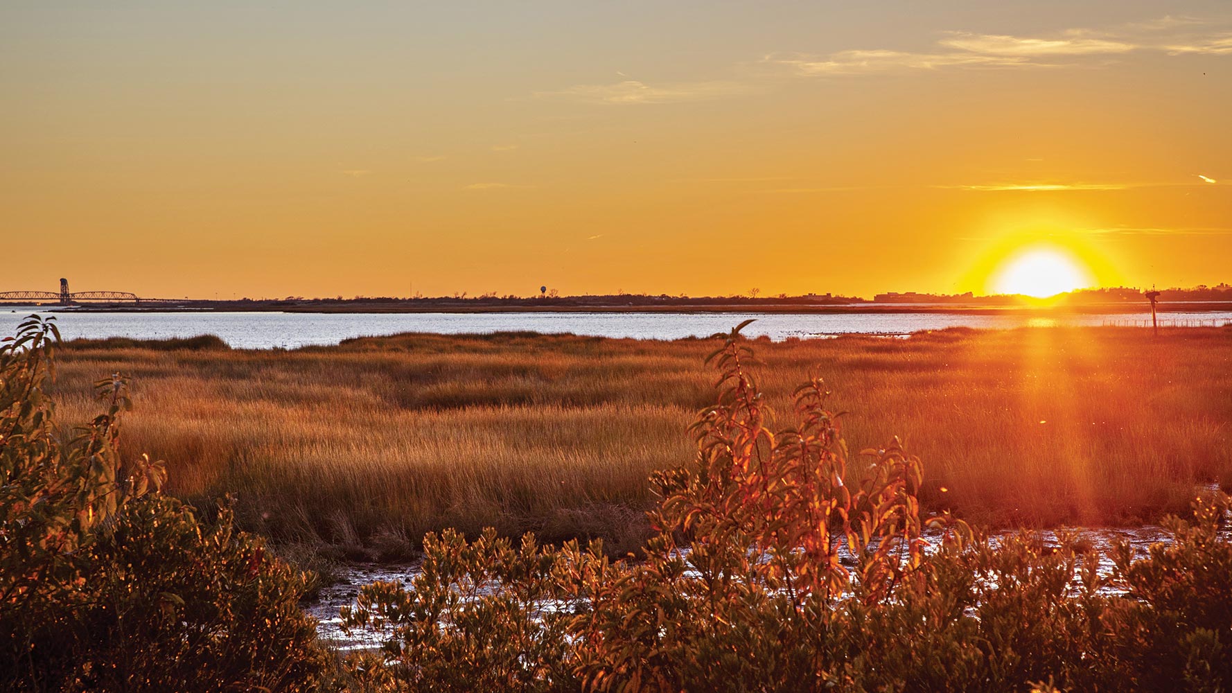 Nearly a Decade Post-Sandy, Dirtworks Restores and Reinforces a New York Wildlife Refuge