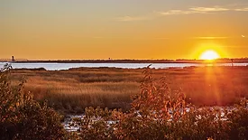 West Pond Living Shoreline
