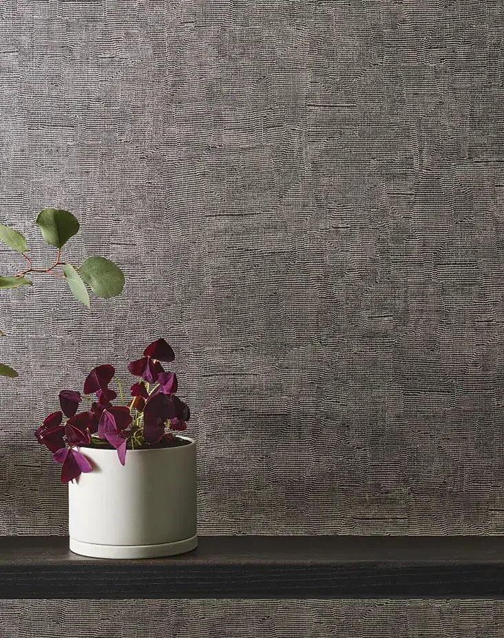 Equilibrium Wallcoverings.