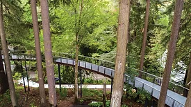 Leach Botanical Garden