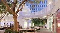 Hammer Museum