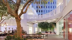 Hammer Museum