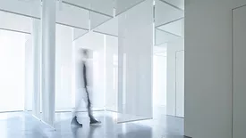 Fly Gallery