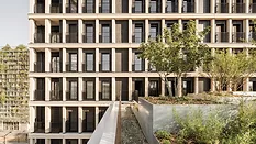 Timber Tower
