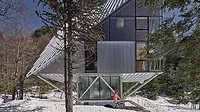 House in the Trees