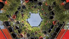 Polinature Installation