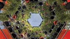 Polinature Installation