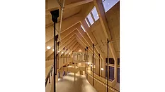 Dorte Mandrup Center for Health