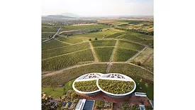 Sauska Tokaj Winery