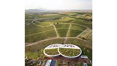 Sauska Tokaj Winery