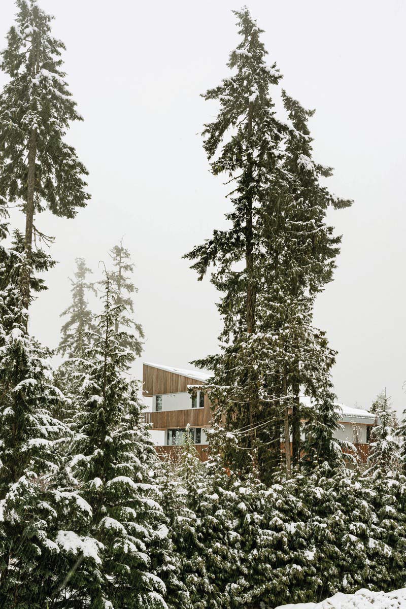 Whistler Ski House
