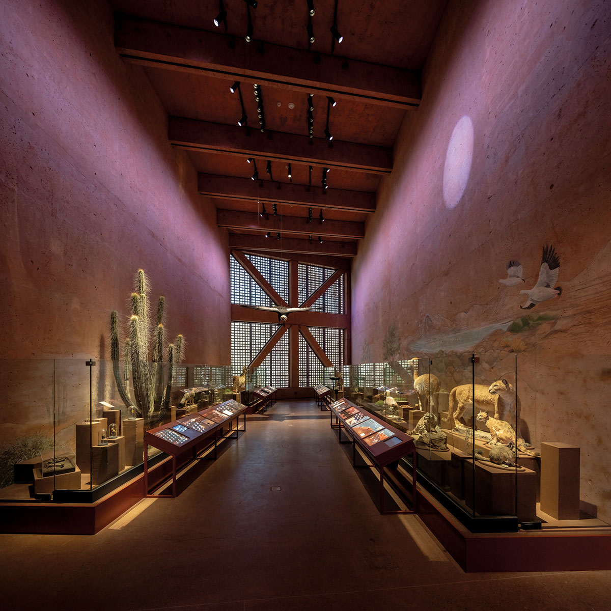 Museo Regional de Atacama