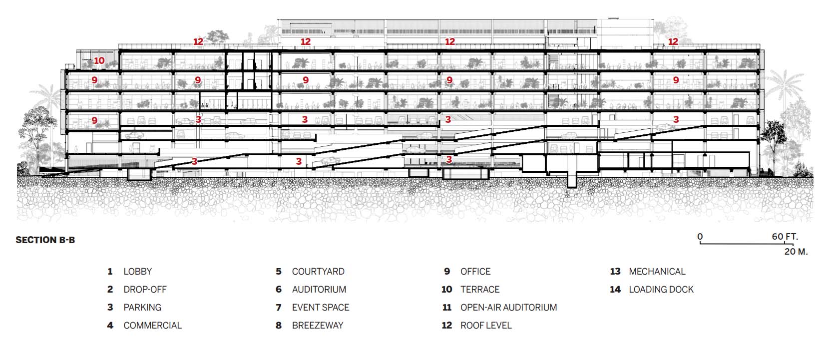 Arquipeo