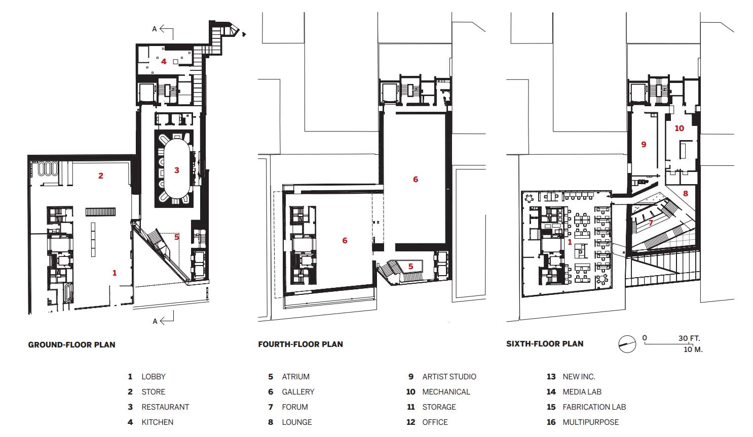 New Museum Extension