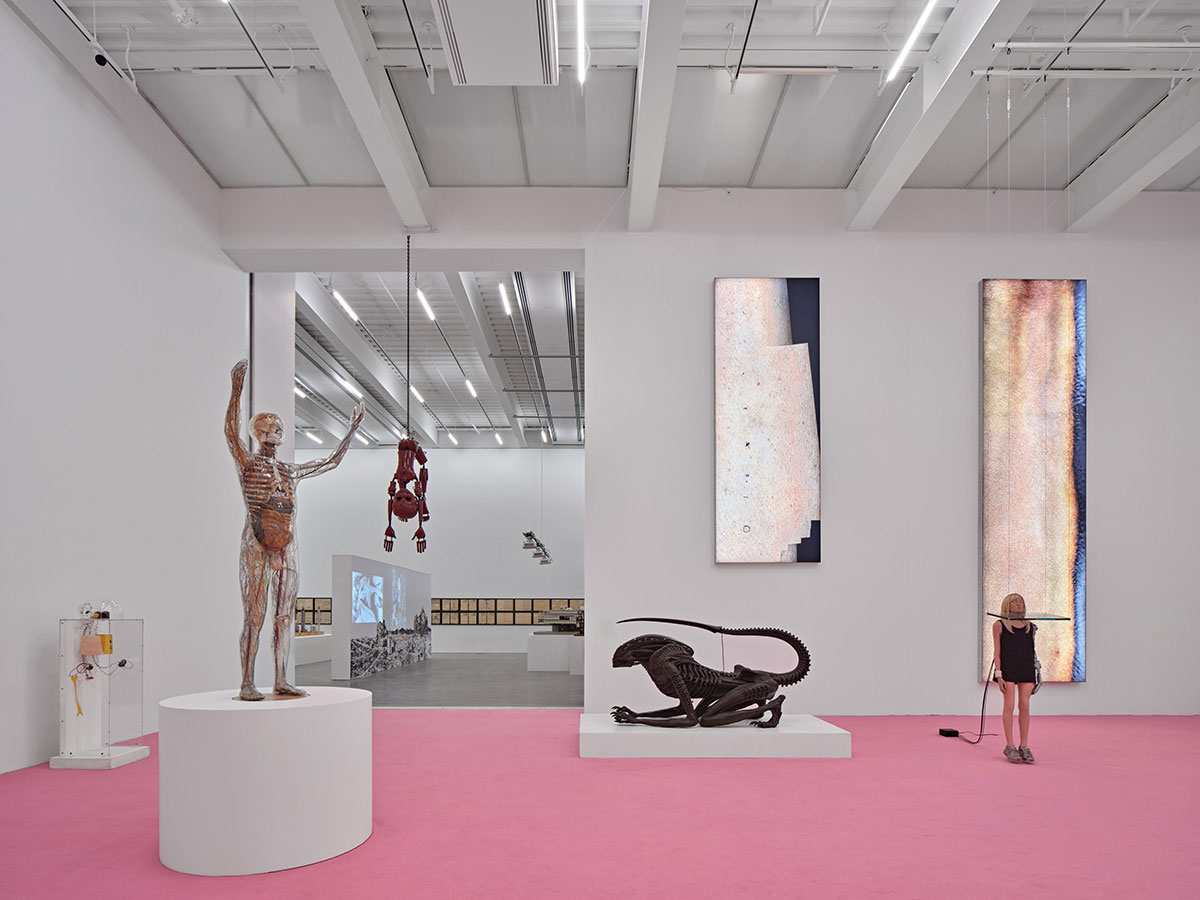 New Museum Extension