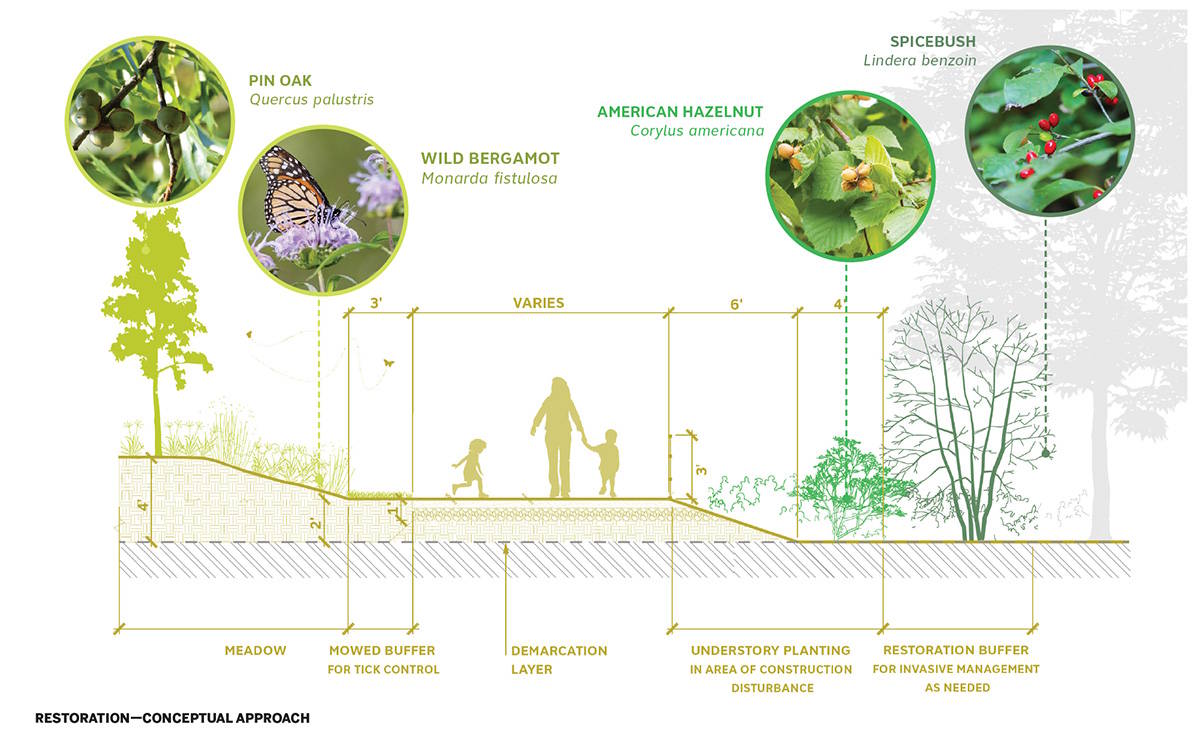 restoration plan for Manresa Island