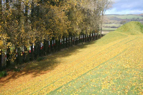 Scottish Worthies