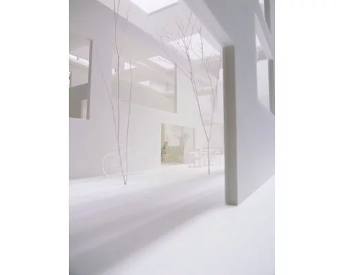 Primitive Future House