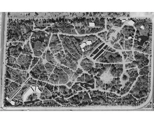 botanical garden