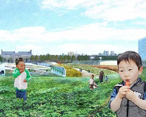 Five Variations on the Theme of Governors Island