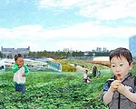 Five Variations on the Theme of Governors Island