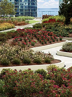 Aqua 