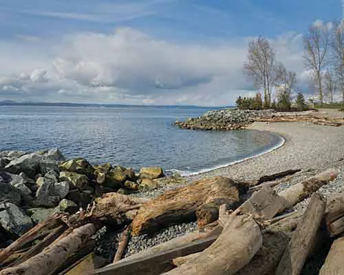 Seattle's Olympic Sculpture Park
