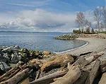 Seattle's Olympic Sculpture Park