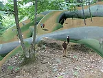 Vito Acconci