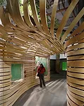 California Academy Sciences Transition Facility