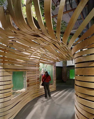 California Academy Sciences Transition Facility