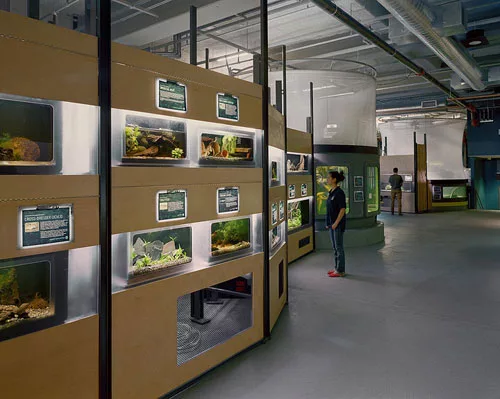 California Academy Sciences Transition Facility