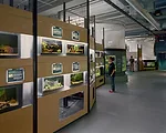 California Academy Sciences Transition Facility