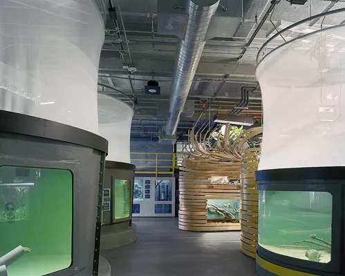 California Academy Sciences Transition Facility