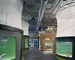 California Academy Sciences Transition Facility