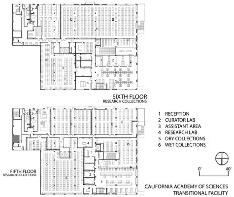California Academy Sciences Transition Facility